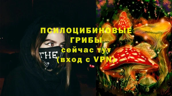 МДПВ Аркадак